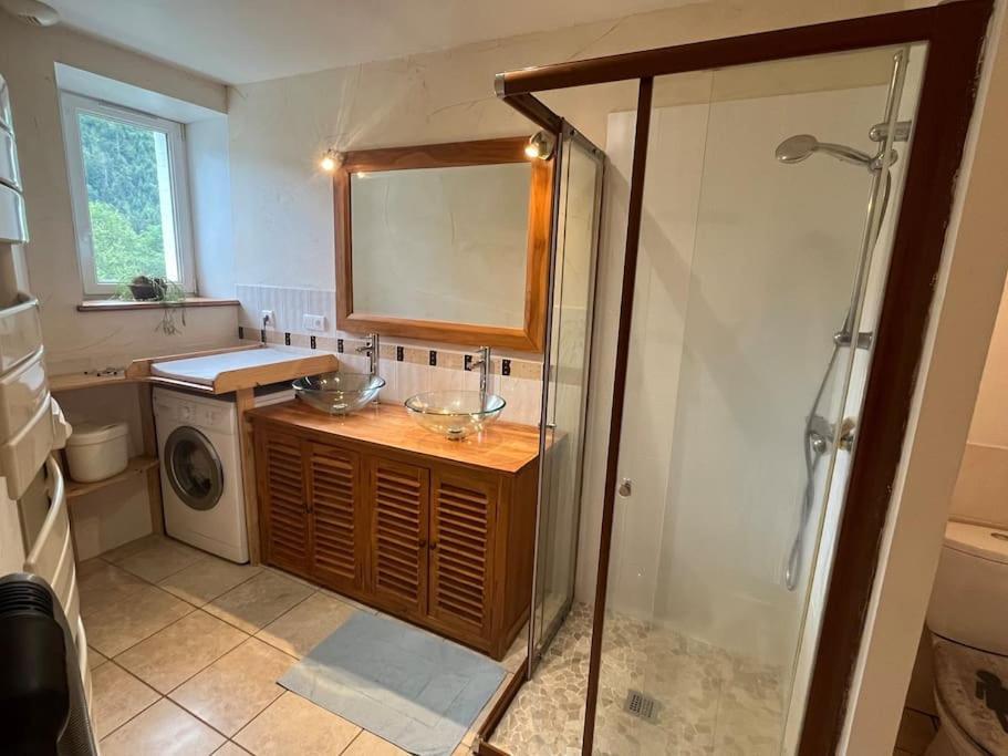 Appartement 5 Personnes Avec Espace Plein Air Saint-Maurice-sur-Moselle Ngoại thất bức ảnh