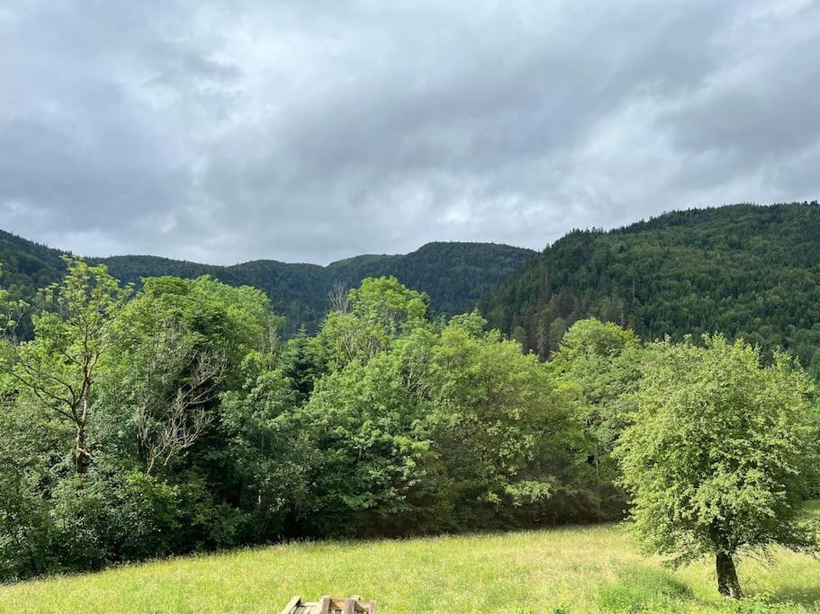 Appartement 5 Personnes Avec Espace Plein Air Saint-Maurice-sur-Moselle Ngoại thất bức ảnh