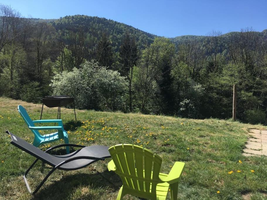 Appartement 5 Personnes Avec Espace Plein Air Saint-Maurice-sur-Moselle Ngoại thất bức ảnh